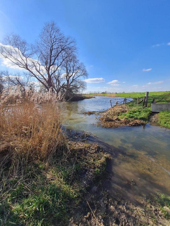 Executive Home With Plenty Of Room Ілі Екстер'єр фото